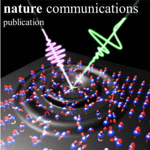 Ultrafast terahertz magnetometry