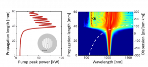 Topical Review - Progress in Cherenkov femtosecond fiber lasers