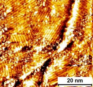 Chemical vapor deposition synthesis and terahertz photoconductivity of low-bandgap N = 9 armchair graphene nanoribbons