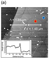 Observation of strong magneto plasmonic nonlinearity in bilayer graphene discs