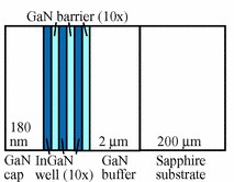 Correlated terahertz acoustic and electromagnetic emission in dynamically screened InGaN/GaN quantum wells