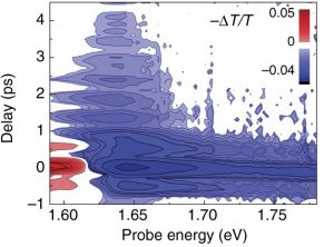 Direct observation of mode-specific phonon-band gap coupling in methylammonium lead halide perovskites