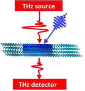 Dynamical Control over Terahertz Electromagnetic Interference Shielding with 2D Ti3C2TyMXene by Ultrafast Optical Pulses