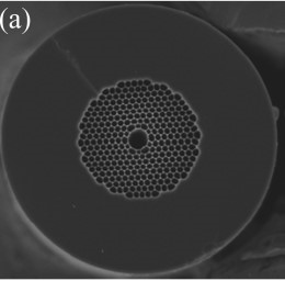 Monolithic highly-stable Yb-doped femtosecond fiber lasers for applications in practical biophotonics [invited]