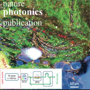 Stain-free histopathology by programmable supercontinuum pulses