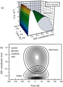 Role of dynamical screening in excitation kinetics of biased quantum wells: Nonlinear absorption and ultrabroadband terahertz emission