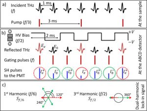 Self-referenced ultra-broadband transient terahertz spectroscopy using air-photonics