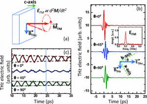 Single-pulse terahertz coherent control of spin resonance in the canted antiferromagnet YFeO3, mediated by dielectric anisotropy