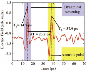 Ultrafast terahertz nanoseismology of GaInN/GaN multiple quantum wells