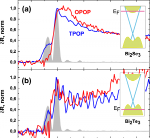 Terahertz signatures of ultrafast Dirac fermion relaxation at the surface of topological insulators