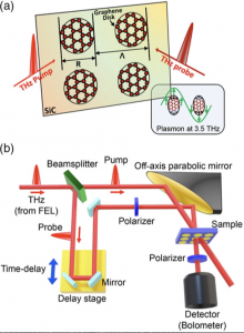 Plasmonic Terahertz Nonlinearity in Graphene Disks