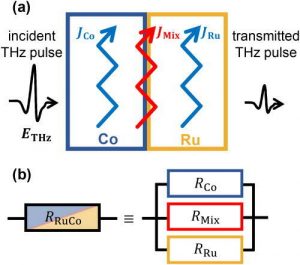 Disentangling complex current pathways in a metallic Ru/Co bilayer nanostructure using THz spectroscopy